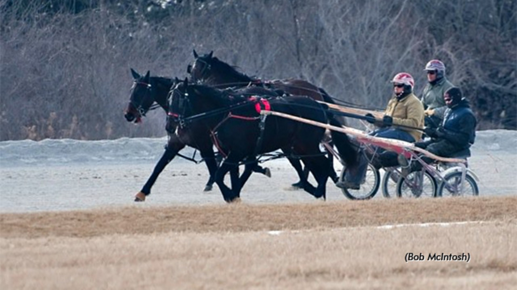 Two-year-olds in training