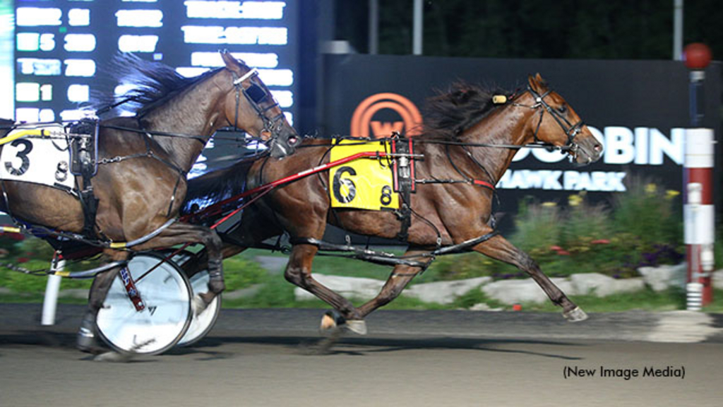 Whichwaytothebeach winning the Somebeachsomewhere Stakes