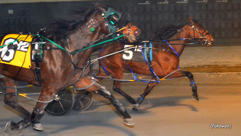 Scuola Hanover holds her ground