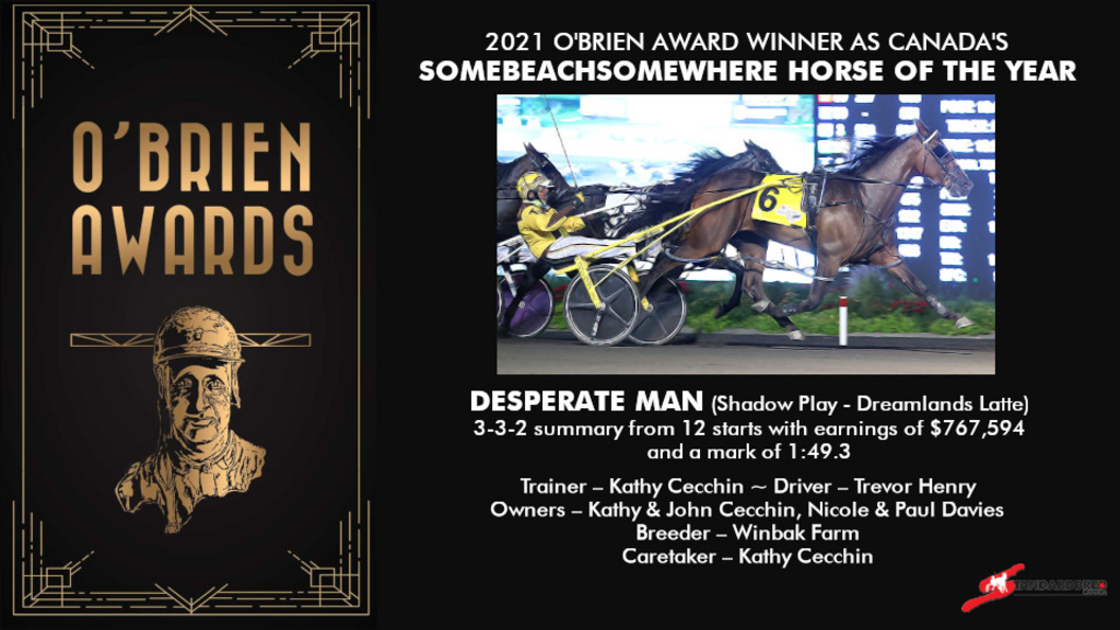 Somebeachsomewhere Horse of the Year - Desperate Man