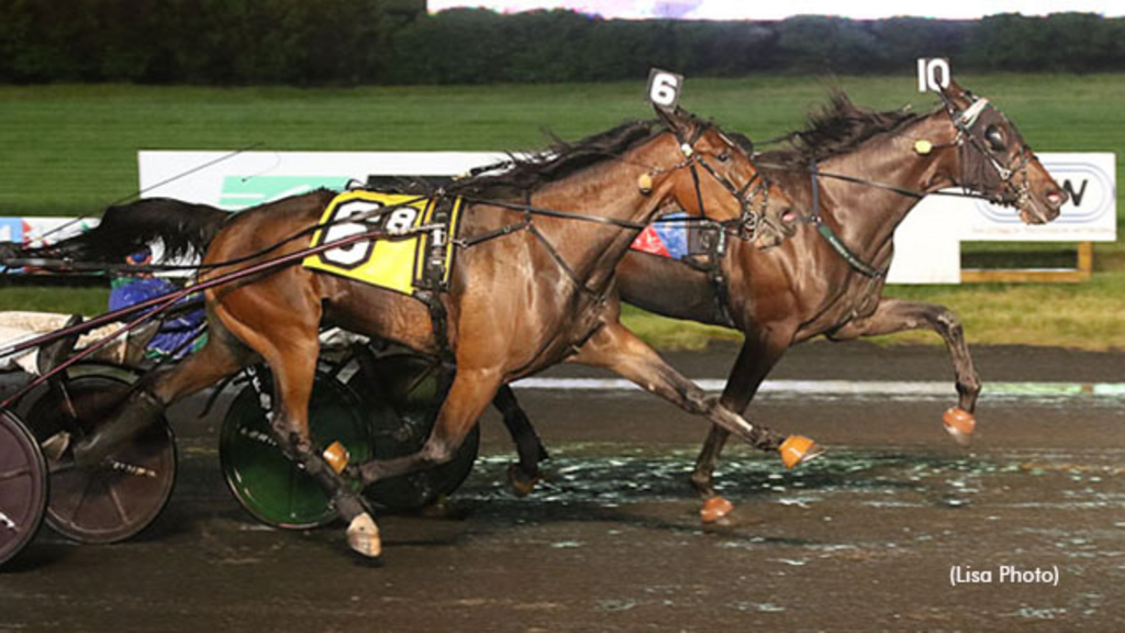 Beltassima winning the NJSS final at The Meadowlands