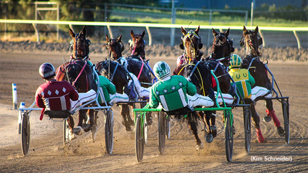 Harness racing at Cal Expo