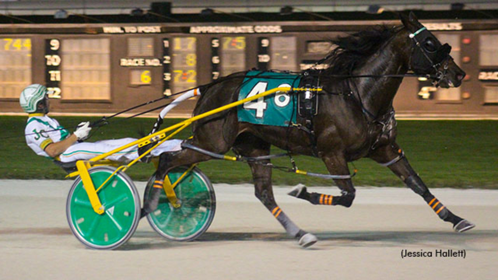 LA Always Amartini winning at Pompano Park