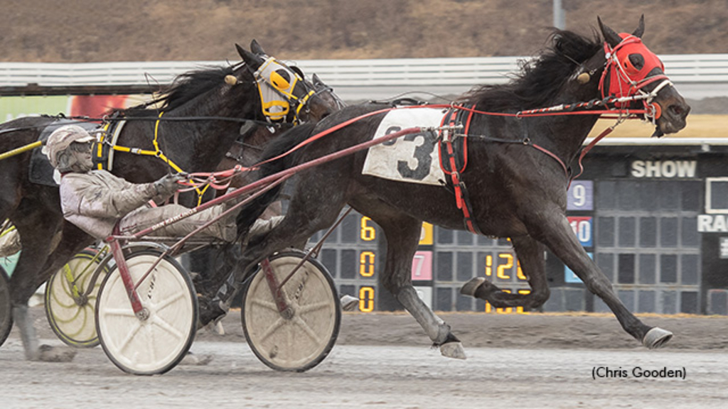 Mission Voyage winning at The Meadows