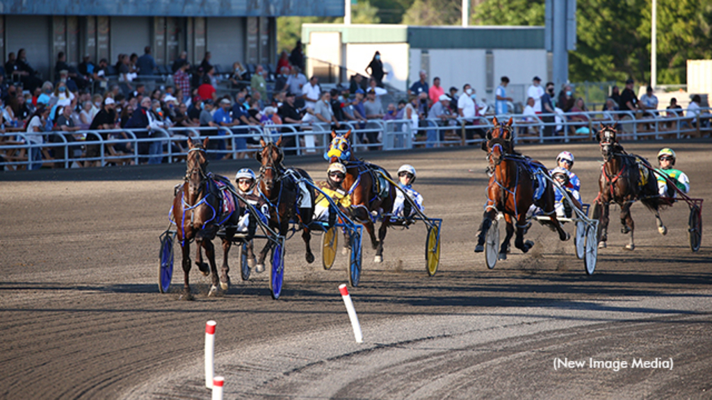 Harness racing at Woodbine Mohawk Park