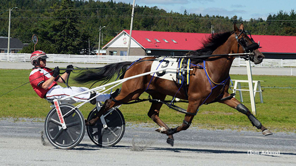 New Brunswick Breeders Stakes winner