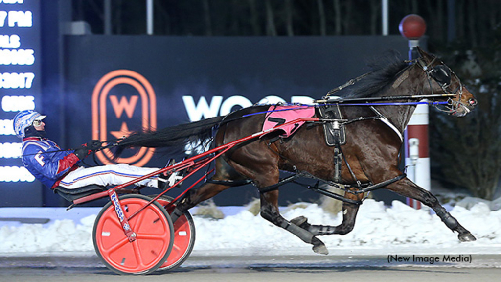 No Free Lunch winning at Woodbine Mohawk Park