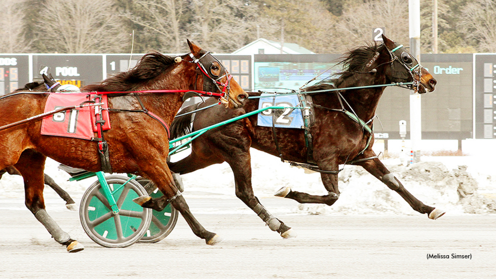 Powerscourt winning at Saratoga Raceway