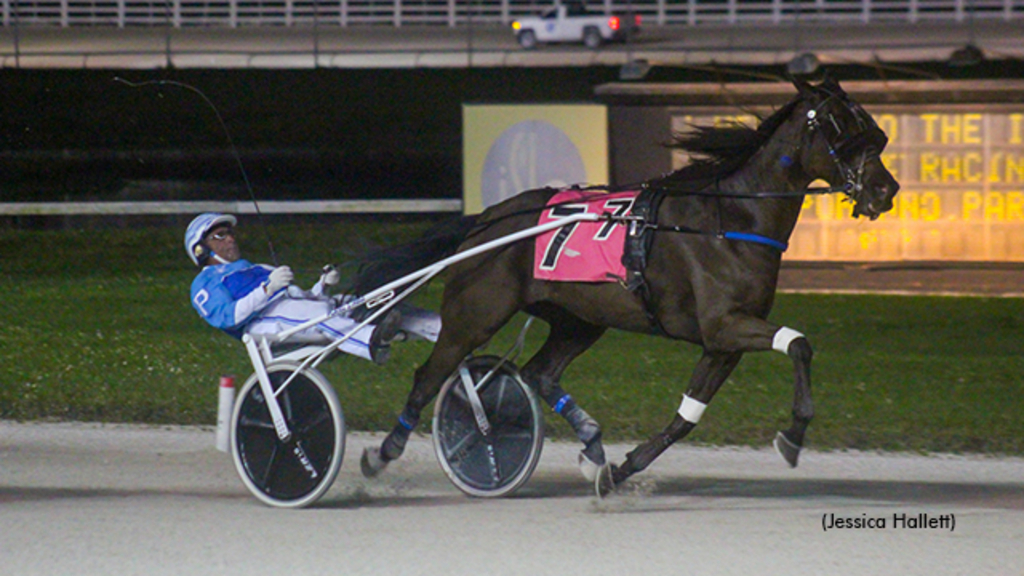 Toys For You winning at Pompano Park