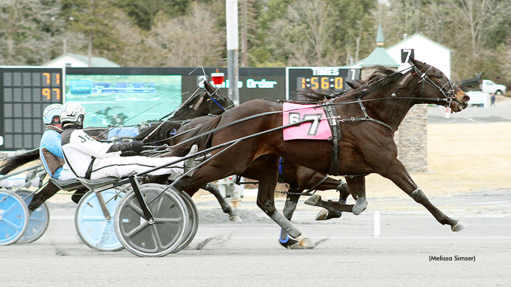 Bluffinner winning at Saratoga