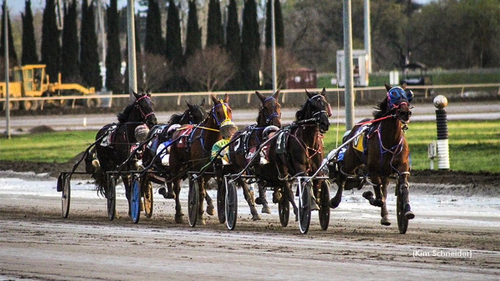 Harness racing at Cal Expo