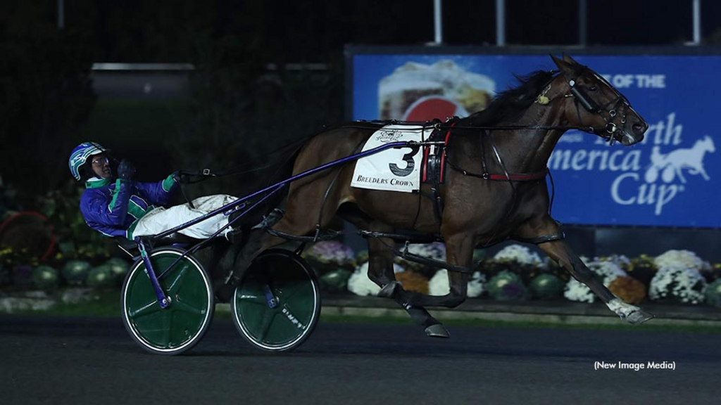 Caviart Ally winning the Breeders Crown