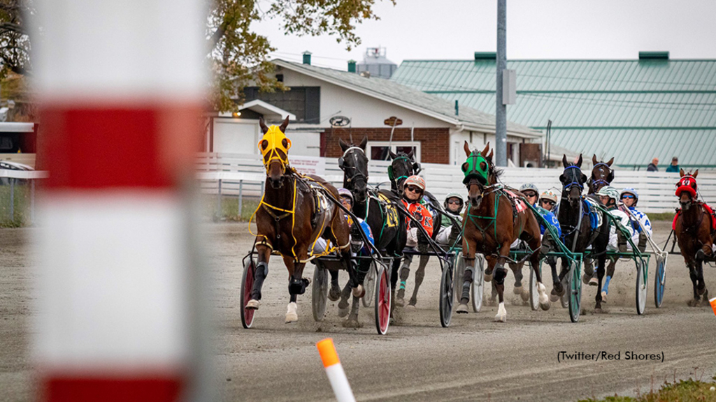 Harness racing at Charlottetown Driving Park