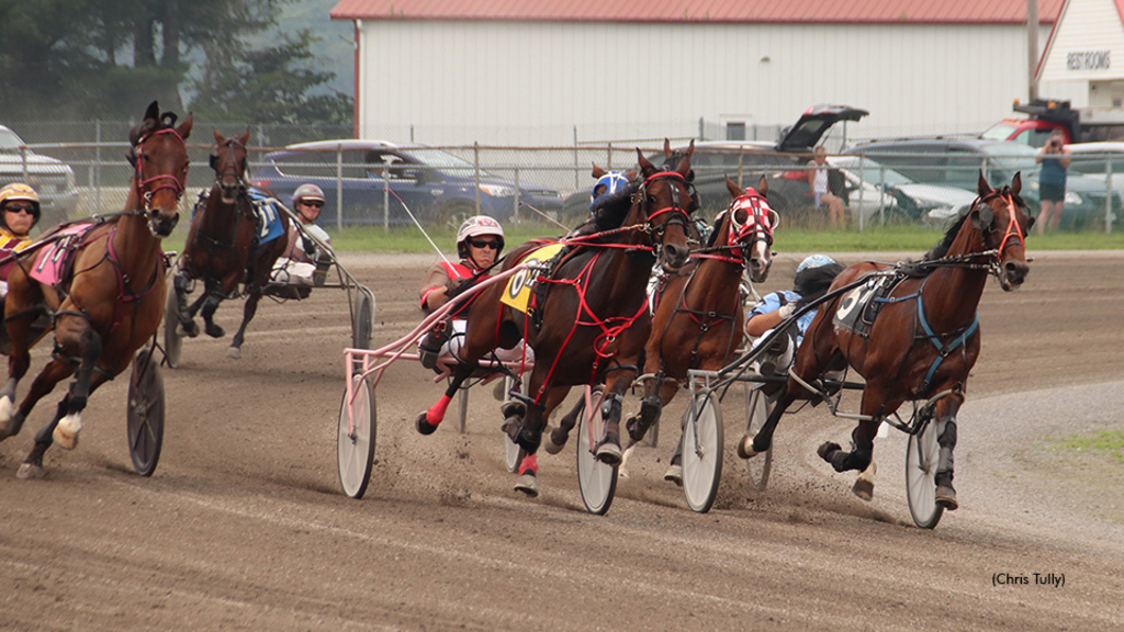 Harness racing at First Tracks Cumberland