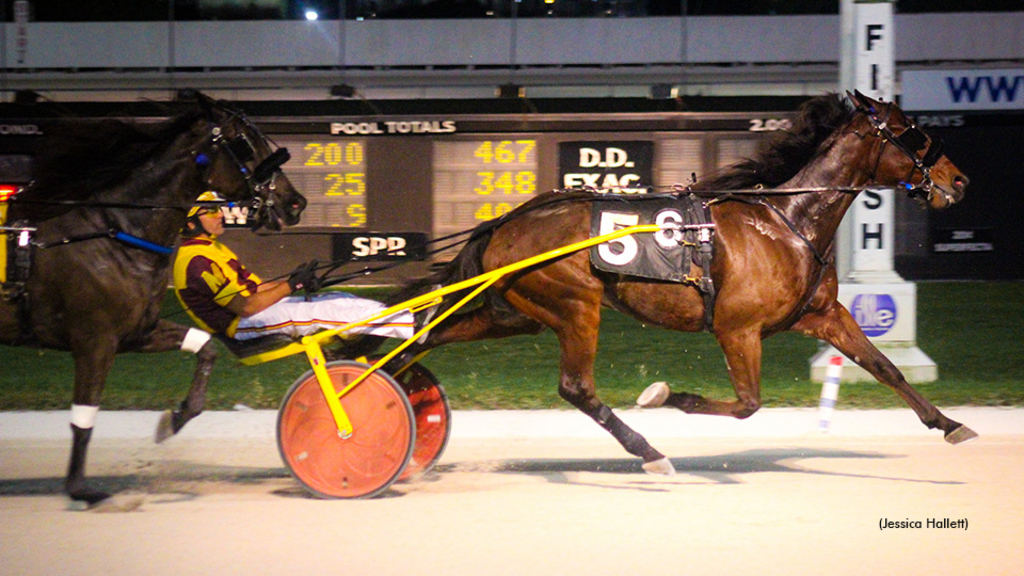 Flagman winning at Pompano Park