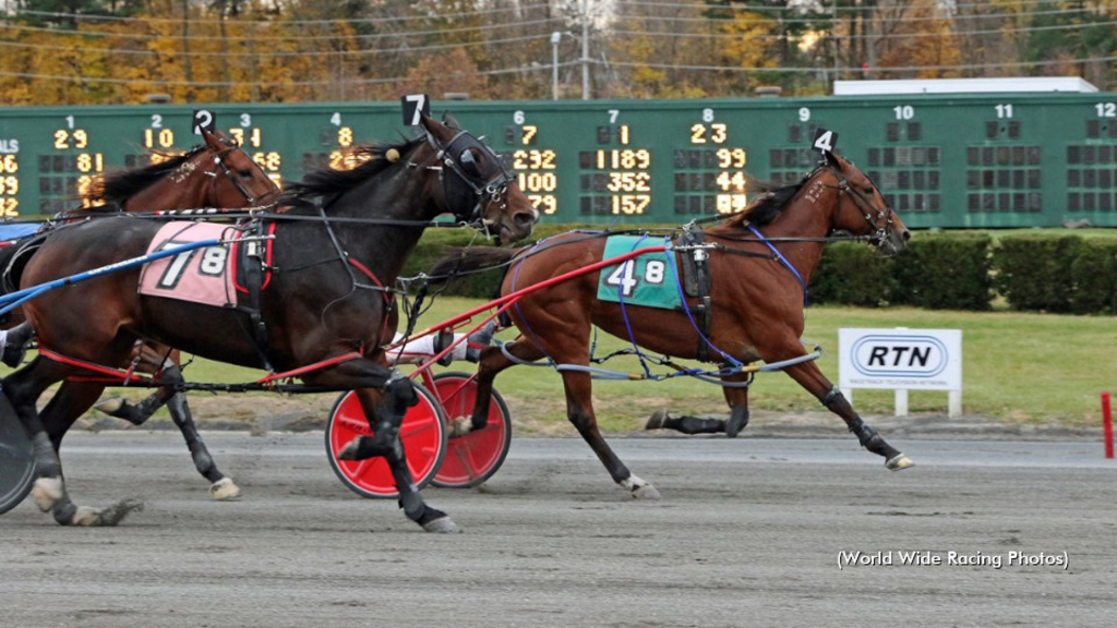 Racing at Freehold