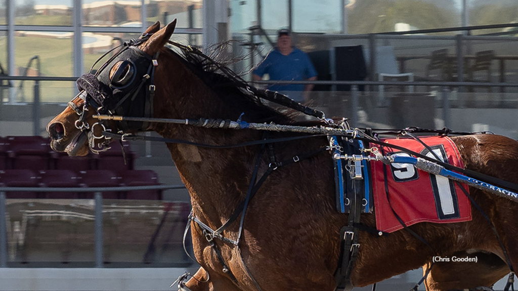 Jillian B Miki winning at The Meadows