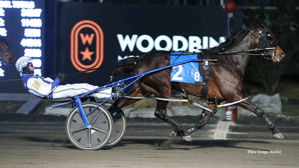 Linedrive Hanover winning at Woodbine Mohawk Park