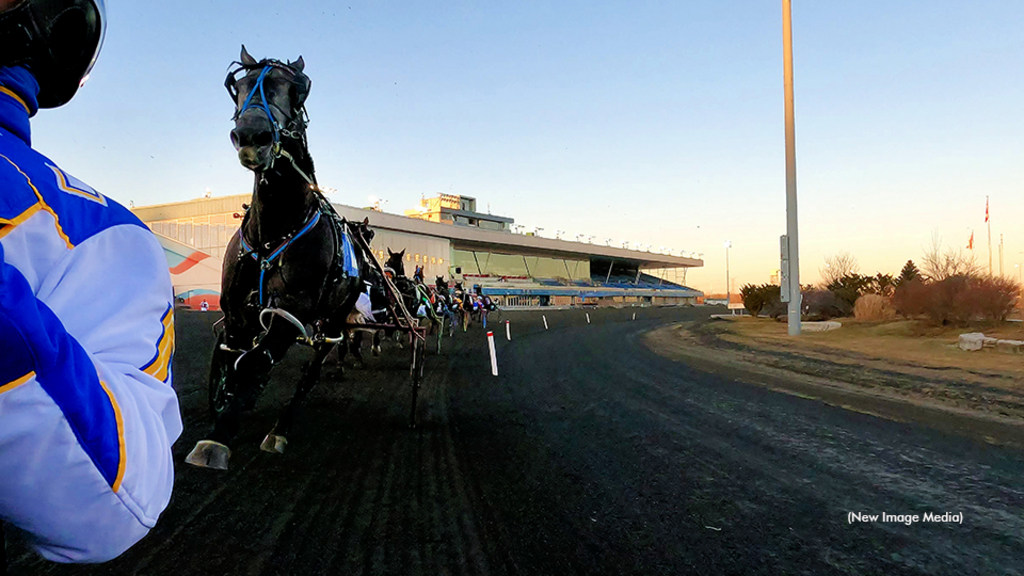 Canadian harness racing