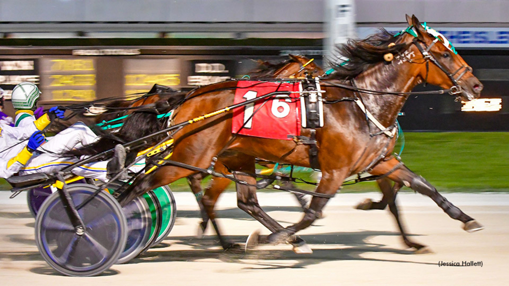 The Stunning Nun N and Powered By Mach in a dead-heat win at Pompano Park