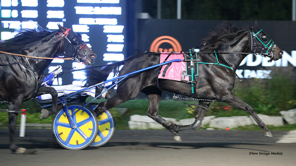 Teddys Littleangel winning at Woodbine Mohawk Park