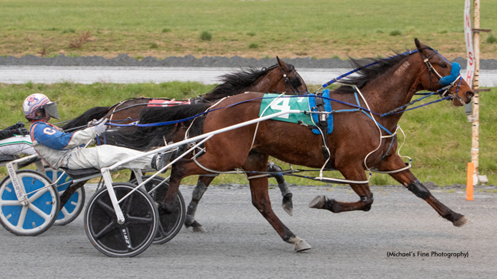 Tiempo Hanover winning at Fraser Downs