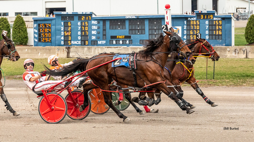 Harness racing at Buffalo Raceway