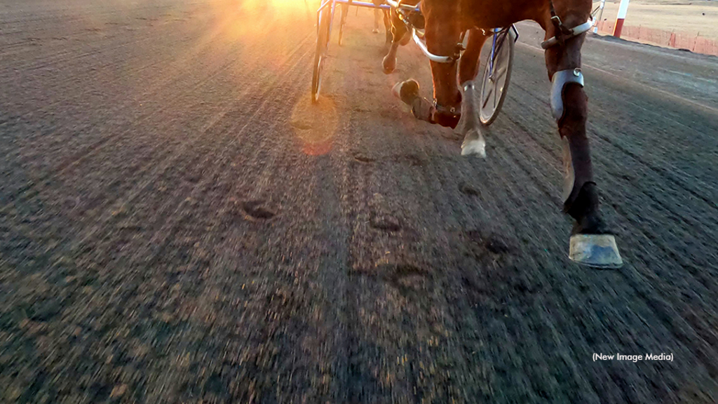 Canadian harness racing