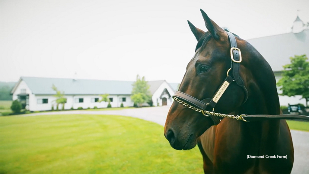 Diamond Creek Farm