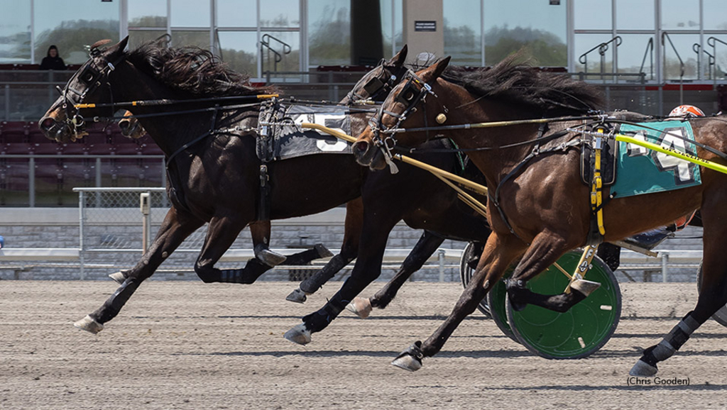 Fit Fanatic winning at The Meadows