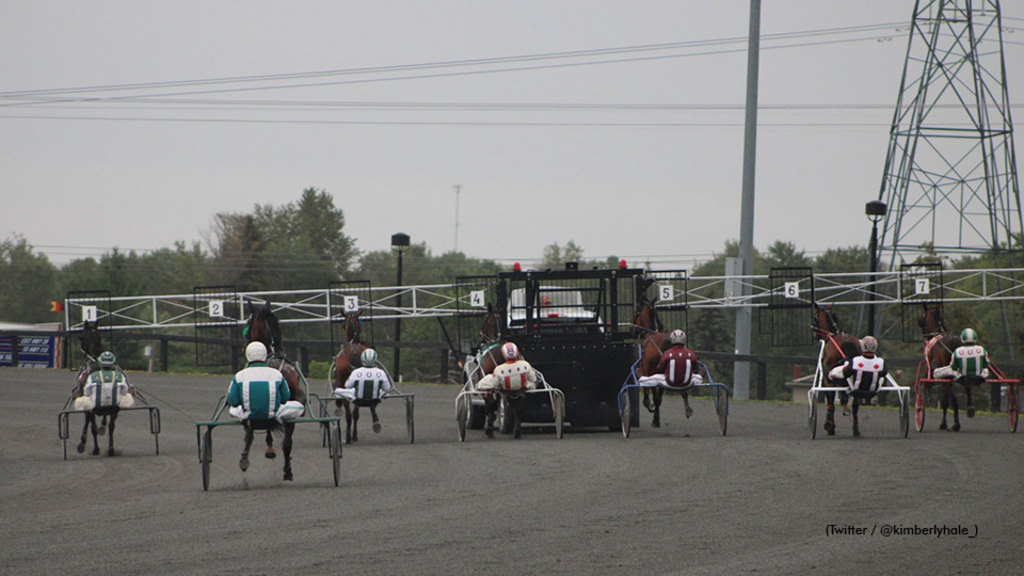 Harness racing at Kawartha Downs