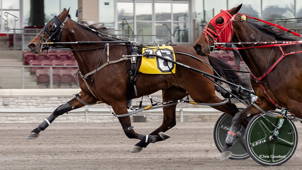 Lydeo winning at The Meadows