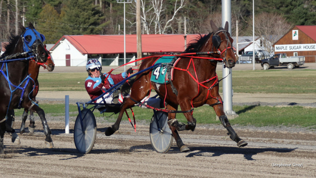 Mike Stevenson and Rojas Blue Chip