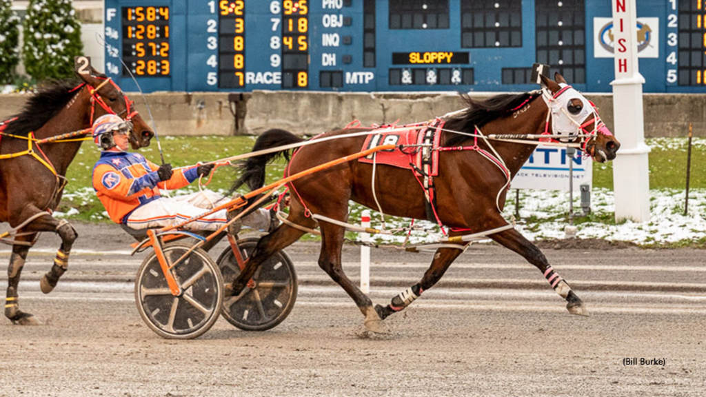 Pretty Blue Angel winning at Buffalo Raceway