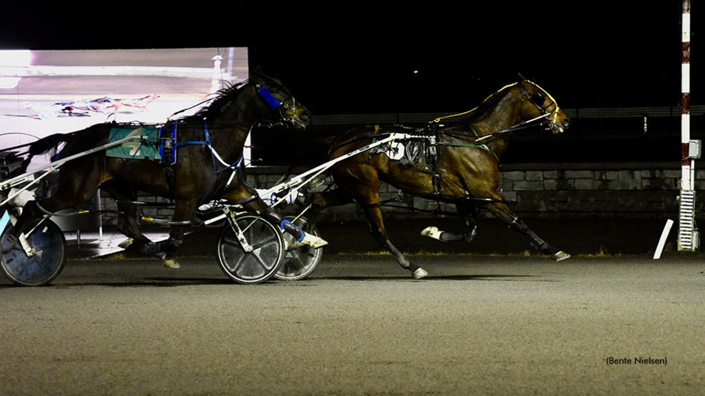 Harness racing at Rideau Carleton Raceway