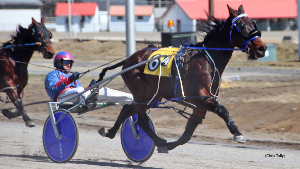 Soho Leviathan qualifying at Cumberland