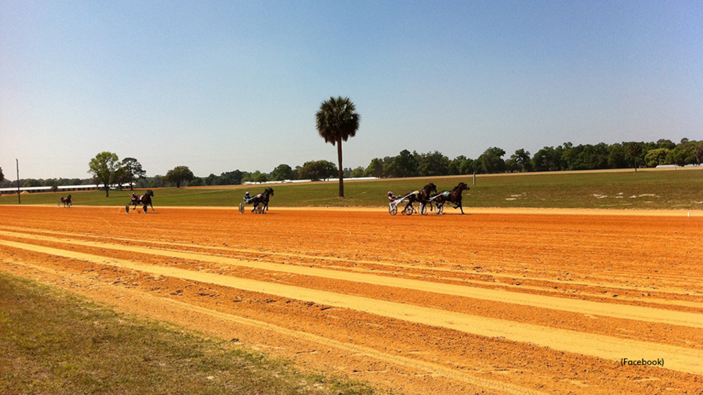 Spring Garden Ranch