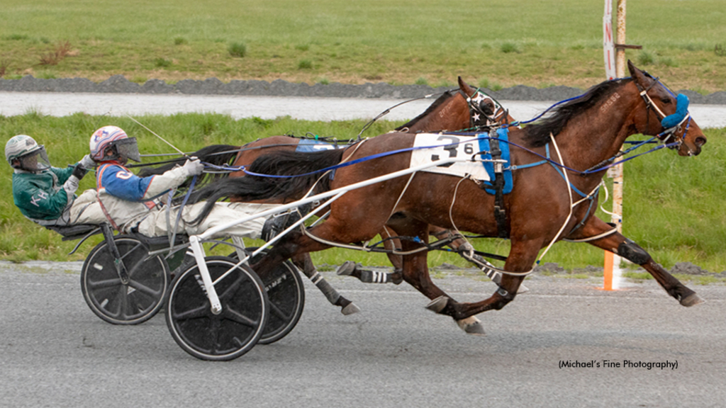 Tiempo Hanover winning at Fraser Downs