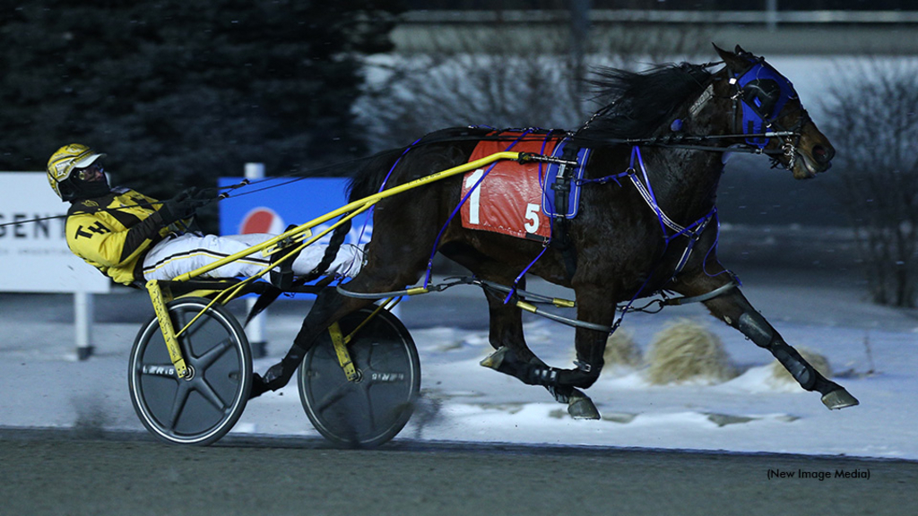 Vines To Heaven winning at Woodbine Mohawk Park