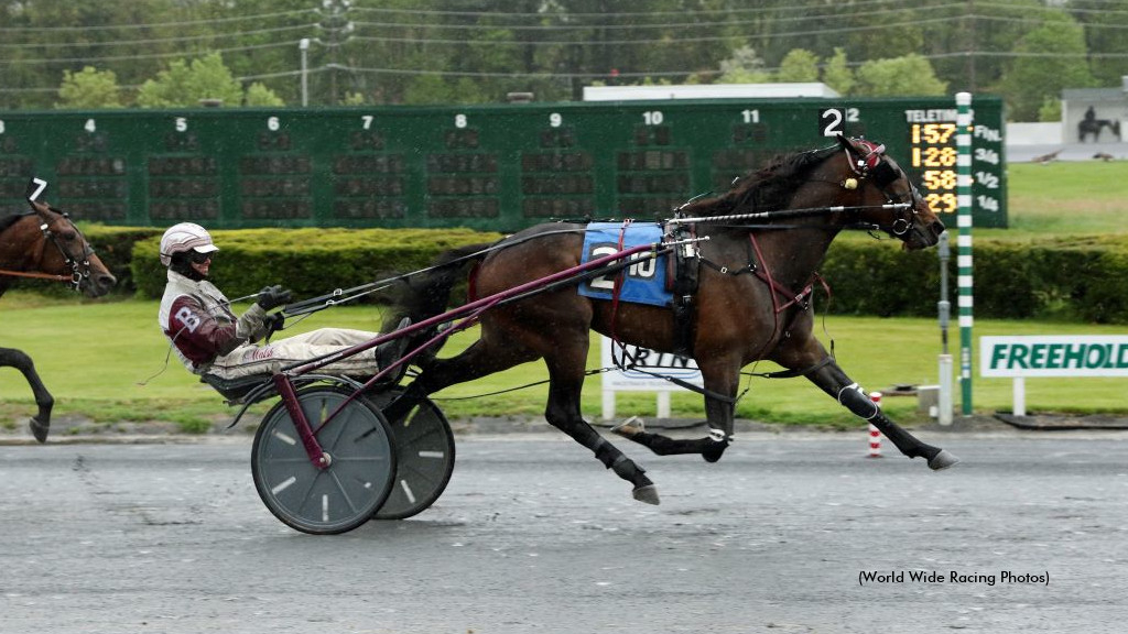 Brave By Design Prevails In Dexter Cup | Standardbred Canada