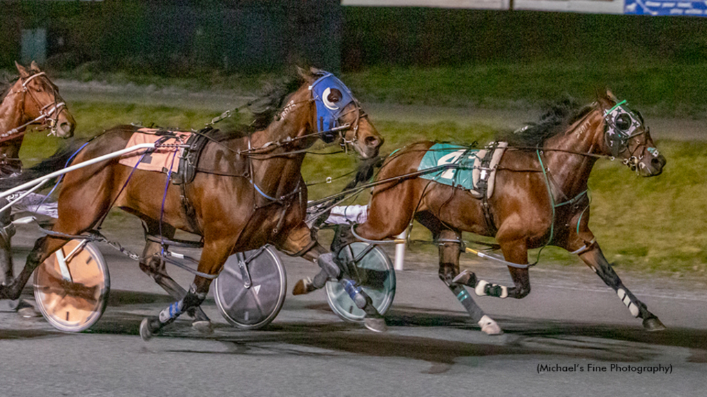 Century Mach winning at Fraser Downs