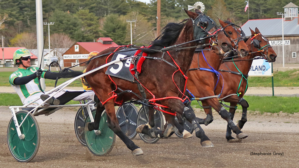 Harness racing at First Tracks Cumberland