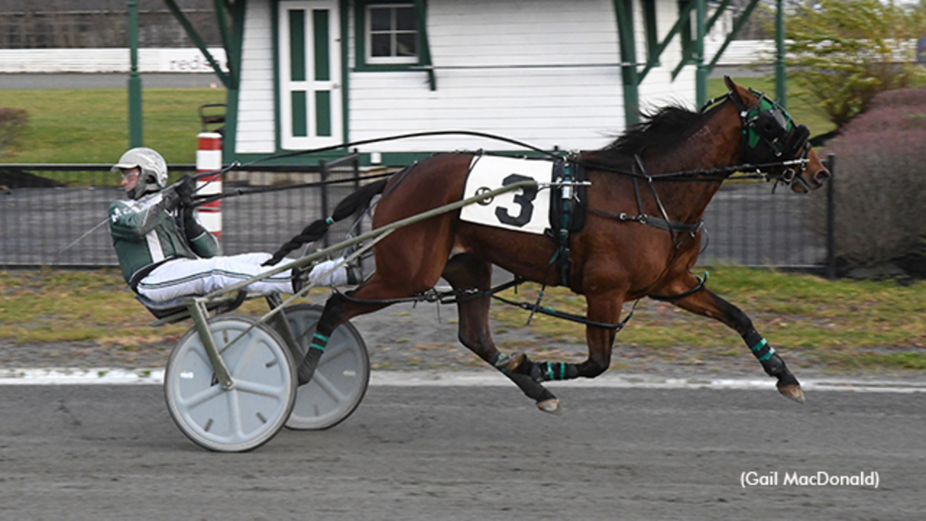 Dreamfair Zenfire winning at Charlottetown Driving Park