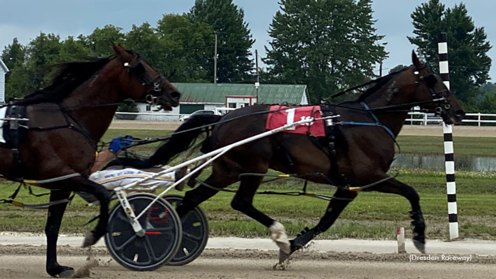 Harness racing at Dresden Raceway