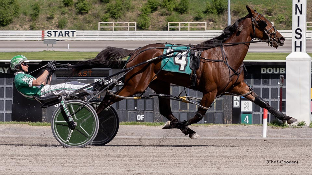 Game Of Shadows winning at The Meadows