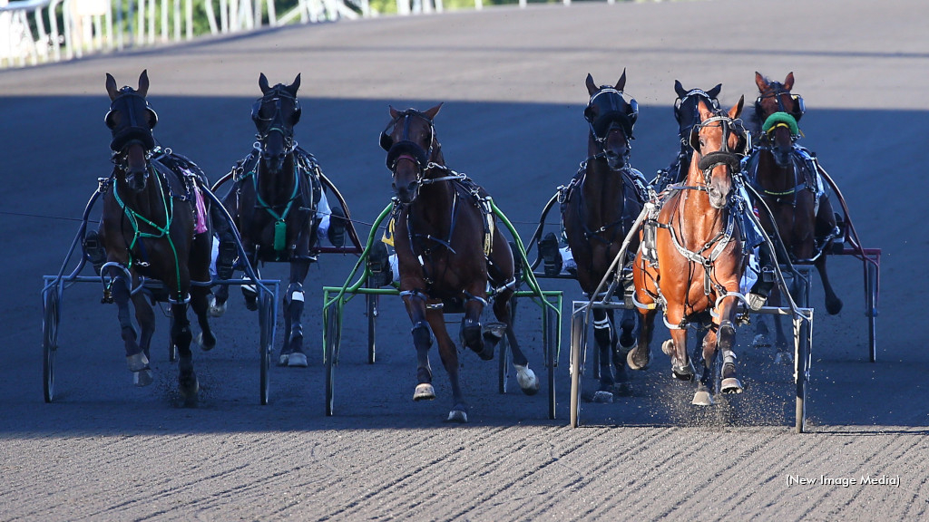 Harness Racing Action