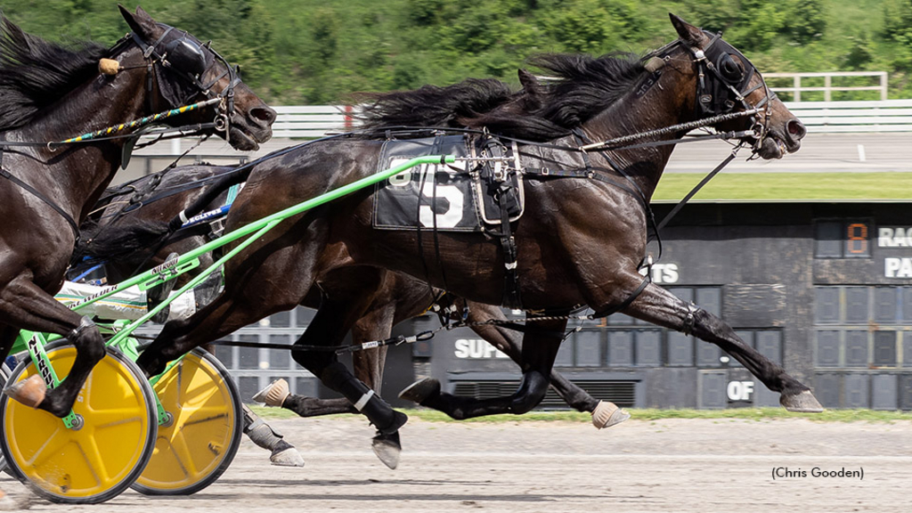 Icanflylikeanangel winning at The Meadows