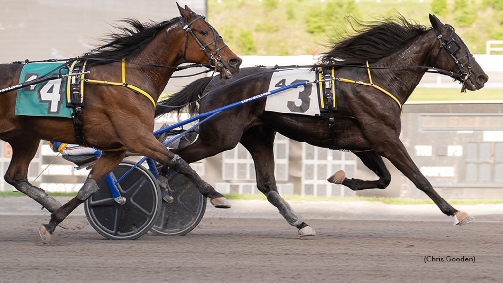 Keystone Chaos winning at The Meadows