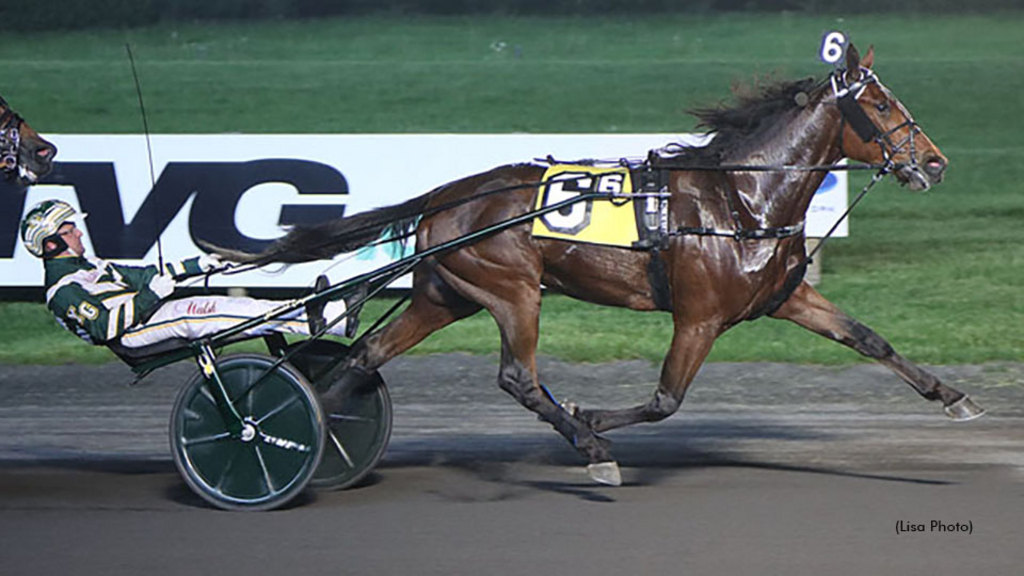 Looks Like Moni winning at The Meadowlands