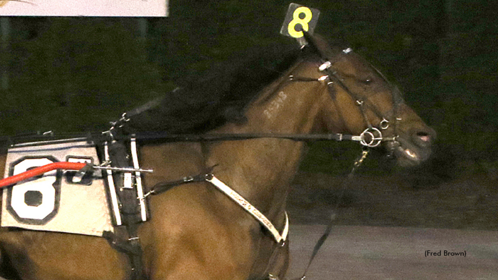 Meadowbranch Ricky winning at Tioga Downs